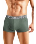 CLE MH608313 Трусы муж. Модал, зелёный