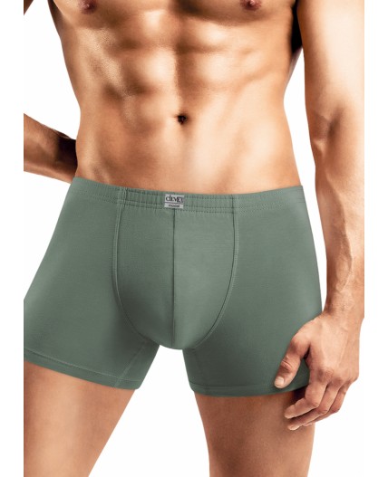 CLE MSH608311 Трусы муж. Модал, зелёный