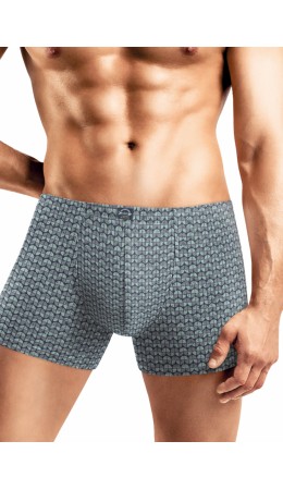 CLE MSH451711 Трусы муж., св.зелёный/серый