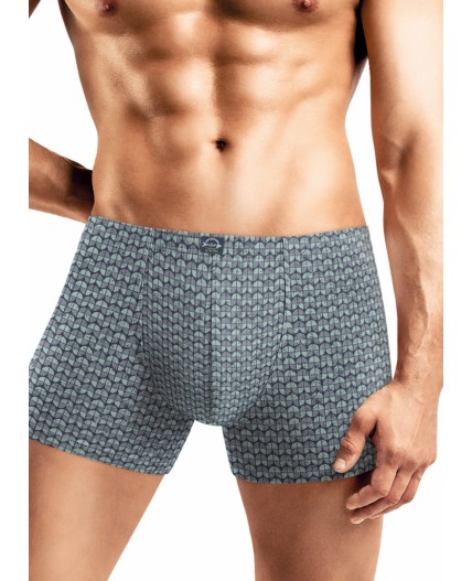 CLE MSH451711 Трусы муж., св.зелёный/серый