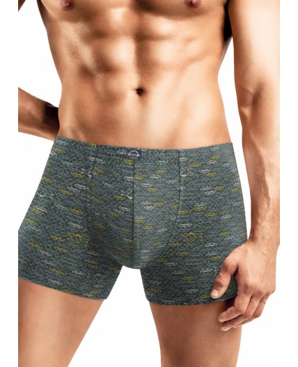 CLE MSH451721 Трусы муж., т.зелёный/св.зелёный