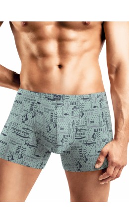 CLE MSH451731 Трусы муж., св.зелёный/т.серый