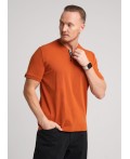 CLE Джемпер муж. 562643/04гг, терракотовый