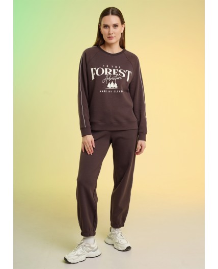 CLE LTR26-100/2 Брюки жен. Карелия, коричневый