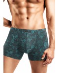 CLE MSH560241 Трусы муж., т.зелёный/св.синий