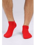 CLE Носки муж.S101 хл+эл укор, красный