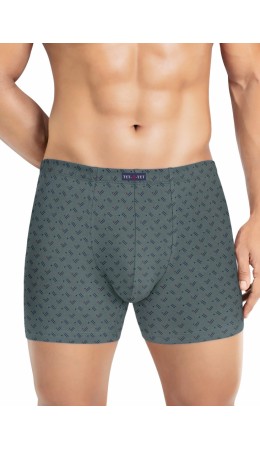 ТаТ MSH601211к_пер Трусы муж., зелёный/джинсовый