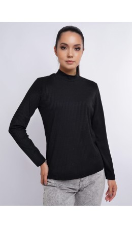 CLE Водолазка жен. 326048шв, чёрный