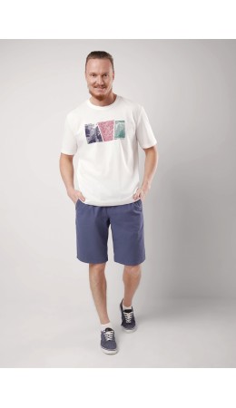 CLE шорты муж 522625ру, т.серый