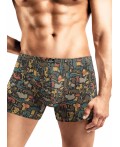 CLE MSH561221 Трусы муж., т.зелёный/св.коричневый
