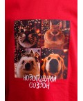 CLE Футболка дет. 767237/24кдп_п, красный