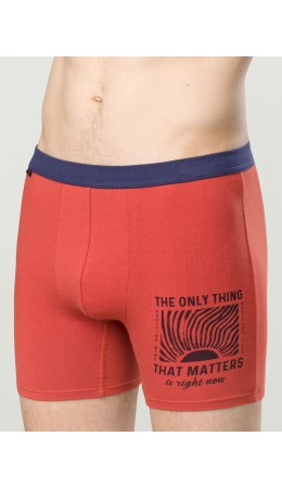 Трусы мужские Красный(18)