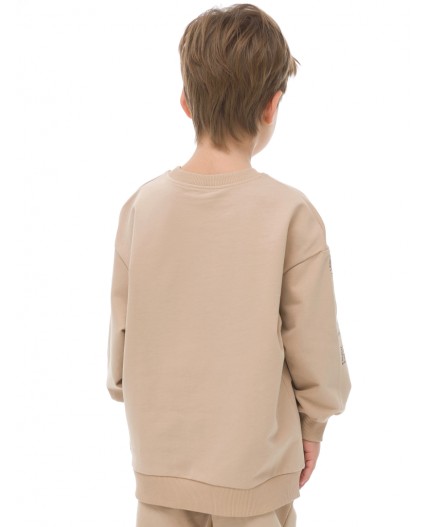 Толстовка для мальчиков Песочный(34)