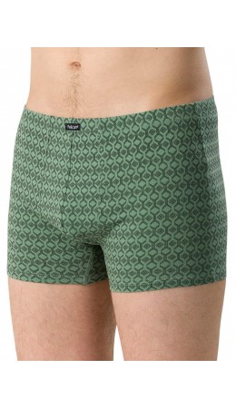 Трусы мужские Хаки(47)