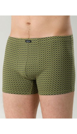 Трусы мужские Оливковый(30)