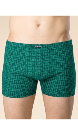 Трусы мужские Изумрудный(14)