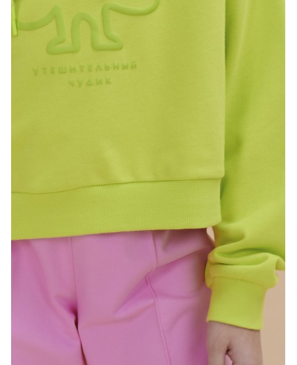 Толстовка для девочек Лаймовый(56)