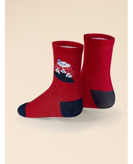 Носки детские Красный/красный/темно-синий(18/18/54)