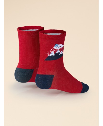 Носки детские Красный/красный/темно-синий(18/18/54)