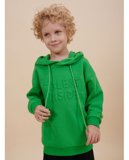 Толстовка для мальчиков Яблочный(51)