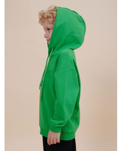 Толстовка для мальчиков Яблочный(51)