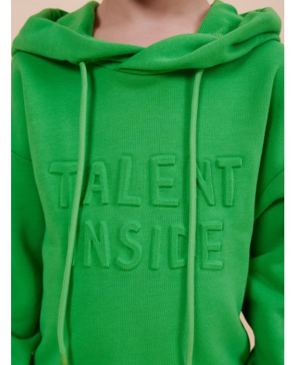 Толстовка для мальчиков Яблочный(51)