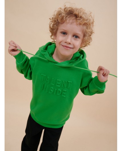 Толстовка для мальчиков Яблочный(51)