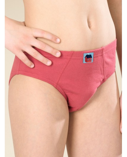 Трусы для мальчиков Бордовый/красный/темно-синий(5/18/54)