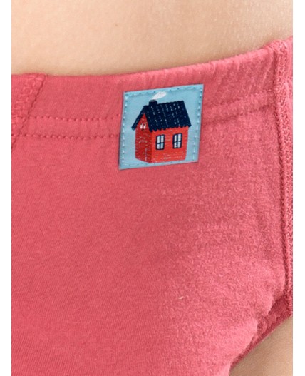 Трусы для мальчиков Бордовый/красный/темно-синий(5/18/54)