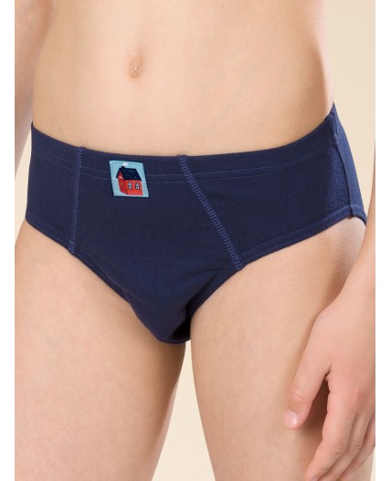 Трусы для мальчиков Бордовый/красный/темно-синий(5/18/54)