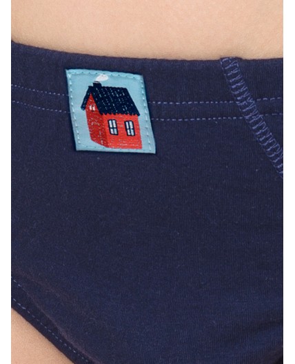 Трусы для мальчиков Бордовый/красный/темно-синий(5/18/54)