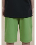 Шорты для мальчика Яблочный(51)