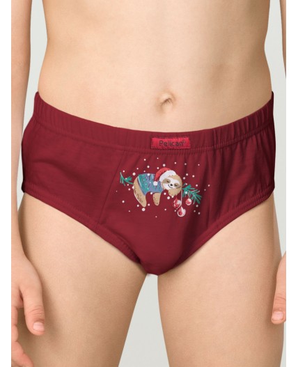 Трусы для мальчиков Бордовый/хаки/серый(5/47/40)