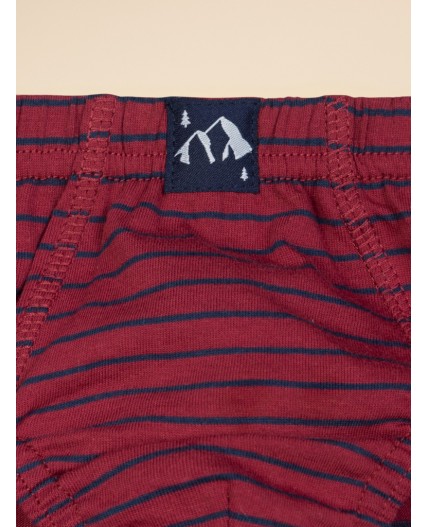 Трусы для мальчиков Серый/темно-синий/бордовый(40/54/5)