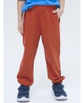 Брюки для мальчиков Терракотовый(44)