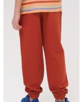 Брюки для мальчиков Терракотовый(44)