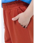 Брюки для мальчиков Терракотовый(44)