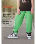 Брюки для мальчиков Салатовый(38)