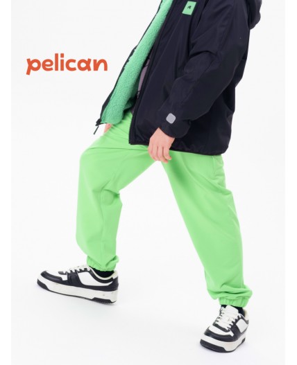 Брюки для мальчиков Салатовый(38)