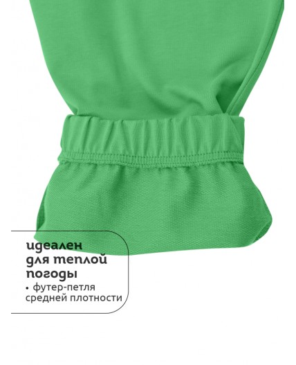 Брюки для мальчиков Салатовый(38)