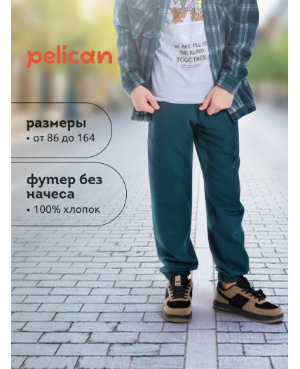 Брюки для мальчиков Изумрудный(14)