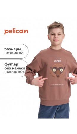 Толстовка для мальчиков Шоколадный(50)