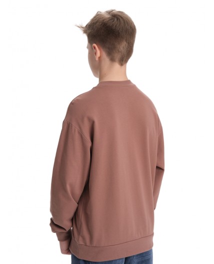 Толстовка для мальчиков Шоколадный(50)