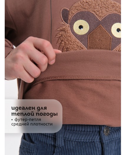 Толстовка для мальчиков Шоколадный(50)