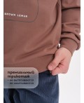 Толстовка для мальчиков Шоколадный(50)