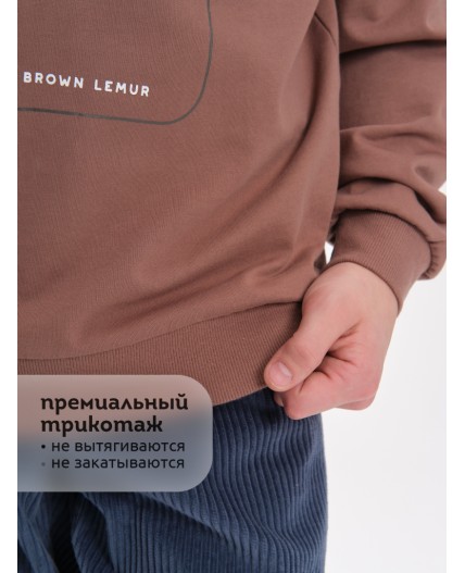 Толстовка для мальчиков Шоколадный(50)