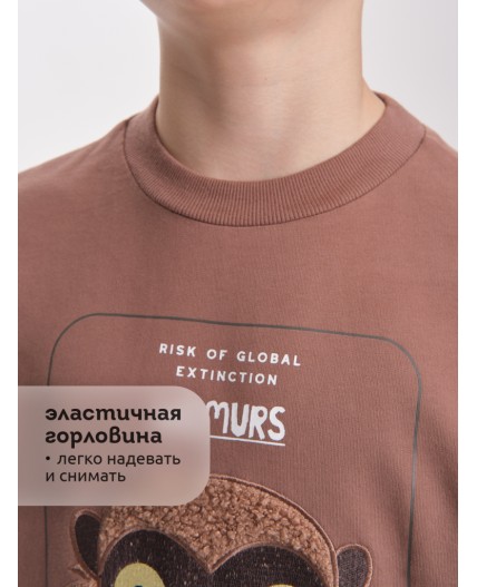 Толстовка для мальчиков Шоколадный(50)