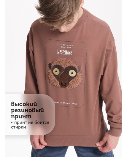 Толстовка для мальчиков Шоколадный(50)