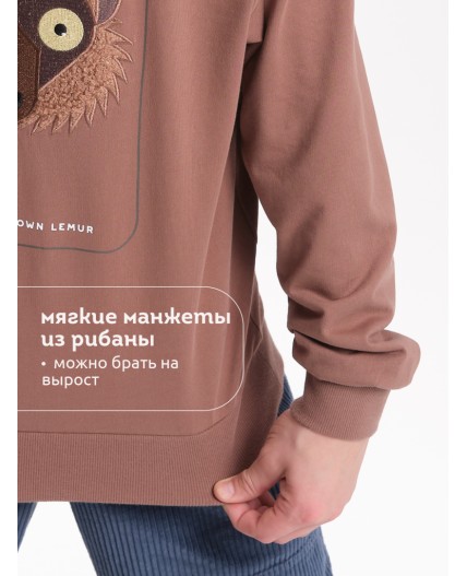 Толстовка для мальчиков Шоколадный(50)