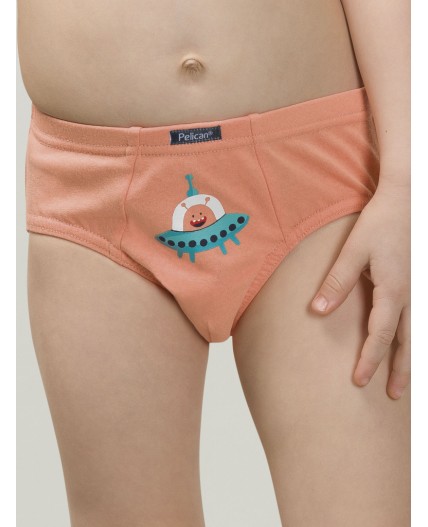 Трусы для мальчиков Темно-синий/светло-серый/кораловый(54/53/16)